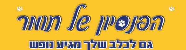 הפנסיון של תומר